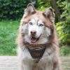 Geschenken Smartphoto Huisdier Accessoires | Sjaaltje Voor Honden En Katten