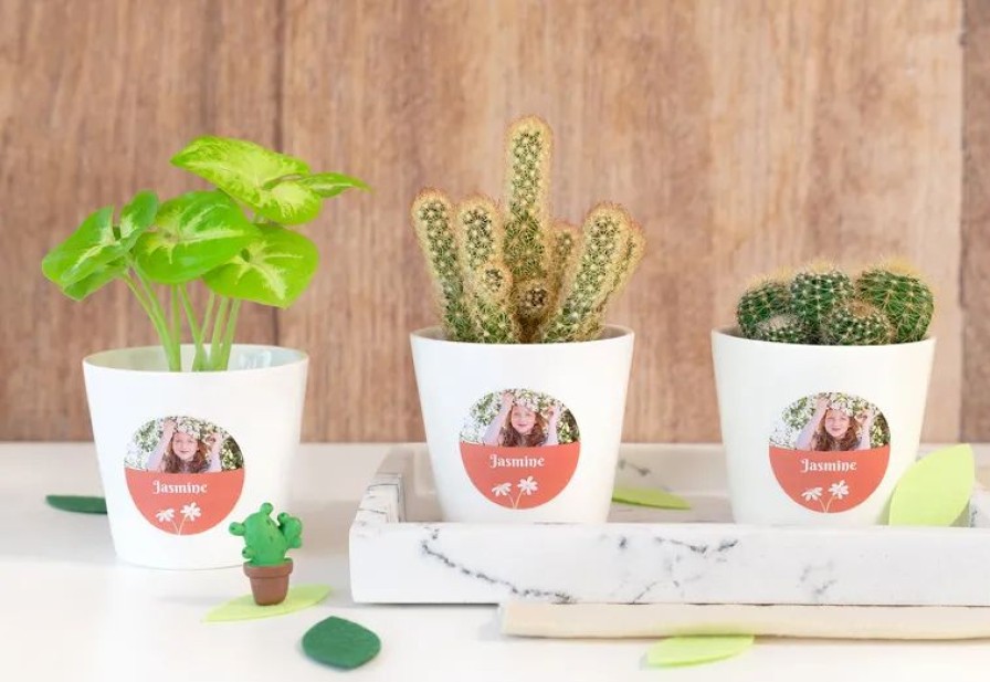 Geschenken Smartphoto Gegraveerde Producten | Gepersonaliseerde Bloempotjes (Set Van 12)