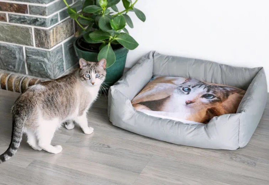 Geschenken Smartphoto Huisdier Accessoires | Dierenbed