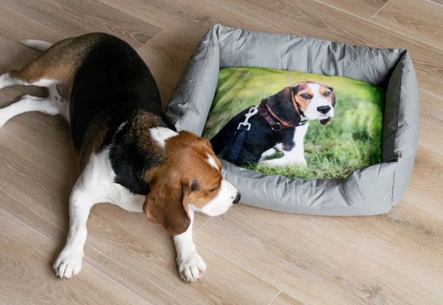 Geschenken Smartphoto Huisdier Accessoires | Dierenbed