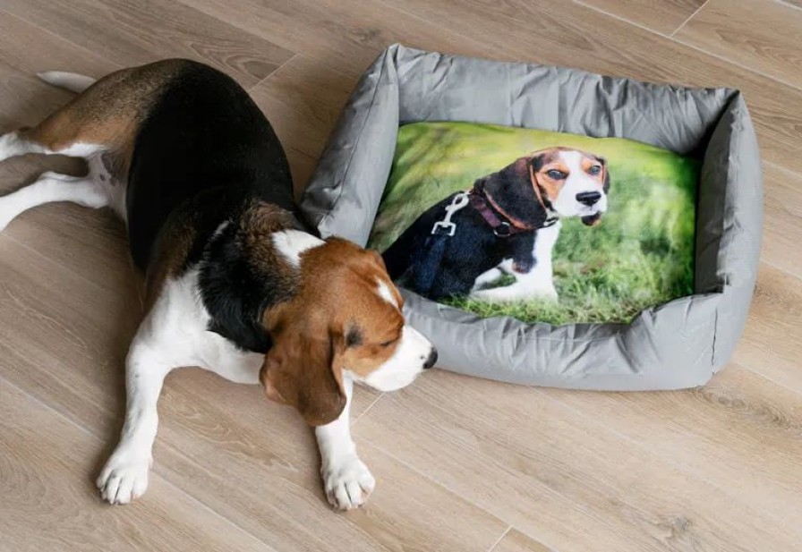 Geschenken Smartphoto Textiel En Kledij | Dierenbed