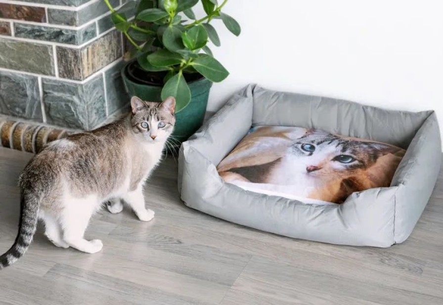 Geschenken Smartphoto Woondecoratie | Dierenbed