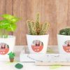 Geschenken Smartphoto Traktaties En Uitdeelcadeaus | Gepersonaliseerde Bloempotjes (Set Van 12)