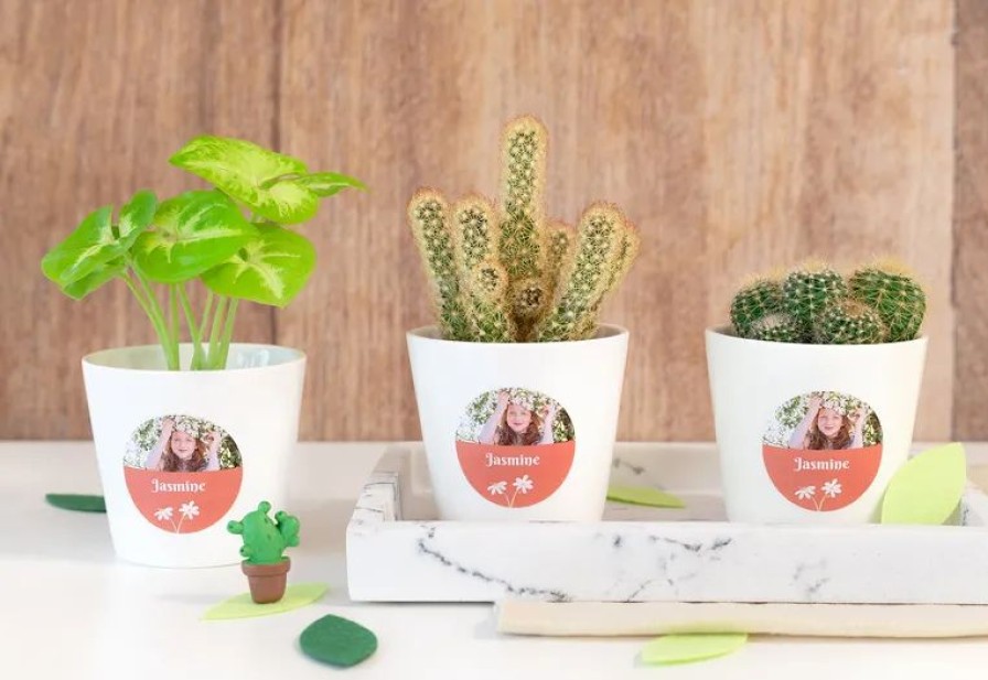 Geschenken Smartphoto Traktaties En Uitdeelcadeaus | Gepersonaliseerde Bloempotjes (Set Van 12)